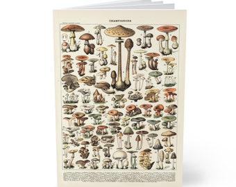 Adolphe Millot Champignons Notebook - A5 Softcover with Ruled Pages, Vintage Mushroom Illustration - Journaling & Note-Taking Gift