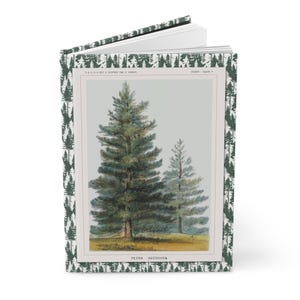 Pine Trees Nature Journal: Oregon California Landscape Hardcover Notebook