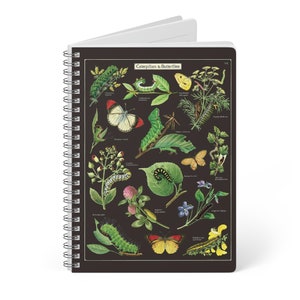 Caterpillars & Butterflies A5 Journal - Glossy Softcover with Lined Paper - Perfect Gift for Writers and Students