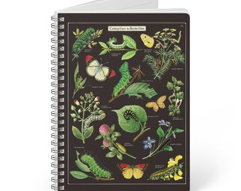 Caterpillars & Butterflies A5 Journal - Glossy Softcover with Lined Paper - Perfect Gift for Writers and Students