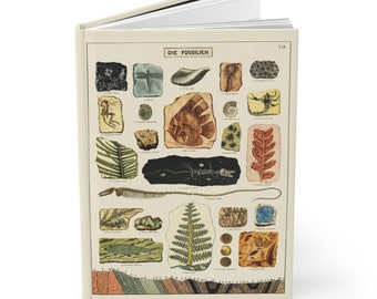 Fossil-Themed Journal - A5 Hardcover with Matte Finish, Ruled Pages for Writing, Unique Geologist Gift