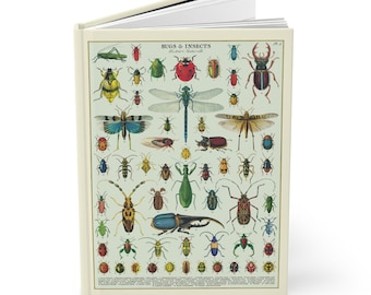 Entomology Notebook, A5 Hardcover, Ruled Pages, Bug and Insect Design, Gift for Nature Lovers