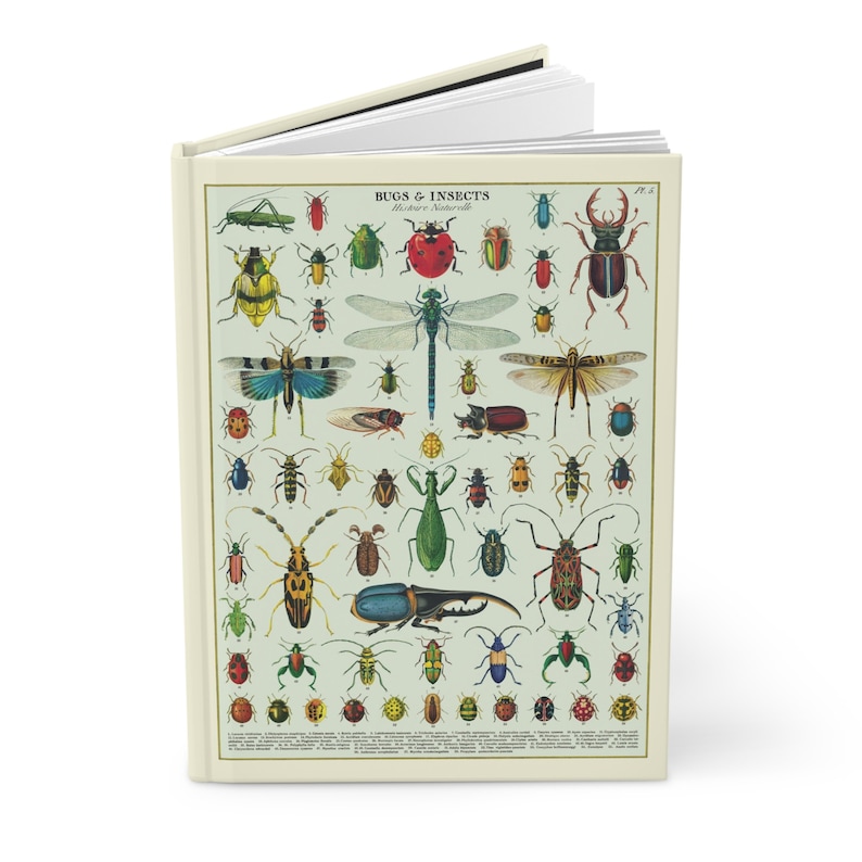 Entomology Notebook, A5 Hardcover, Ruled Pages, Bug and Insect Design, Gift for Nature Lovers image 1