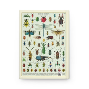 Entomology Notebook, A5 Hardcover, Ruled Pages, Bug and Insect Design, Gift for Nature Lovers image 3