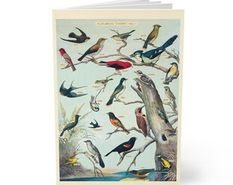 Elegant Audubon Birds A5 Journal - 150 Page Lined Notebook with Matte Cover for Nature Enthusiasts