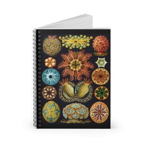 Ernst Haeckel Sea Squirts Notebook - Nature-Inspired 6x8 Ruled Spiral Journal, Gift for Biologists and Science Lovers