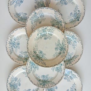 Conjunto de 9 magníficos platos planos antiguos – Terre de Fer, Sarreguemines, Digoin, modelo “Églantine”, 1880-1886.