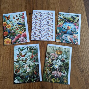 5 pack of greeting cards for any occasion, birthday cards, anniversary cards, congratulations cards, all blank inside bundle bulk pack