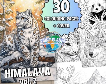 Himalaya vol. 2: Wundervolles Himalaya Malbuch zum entspannen für Kinder und Erwachsene von Paint Planet