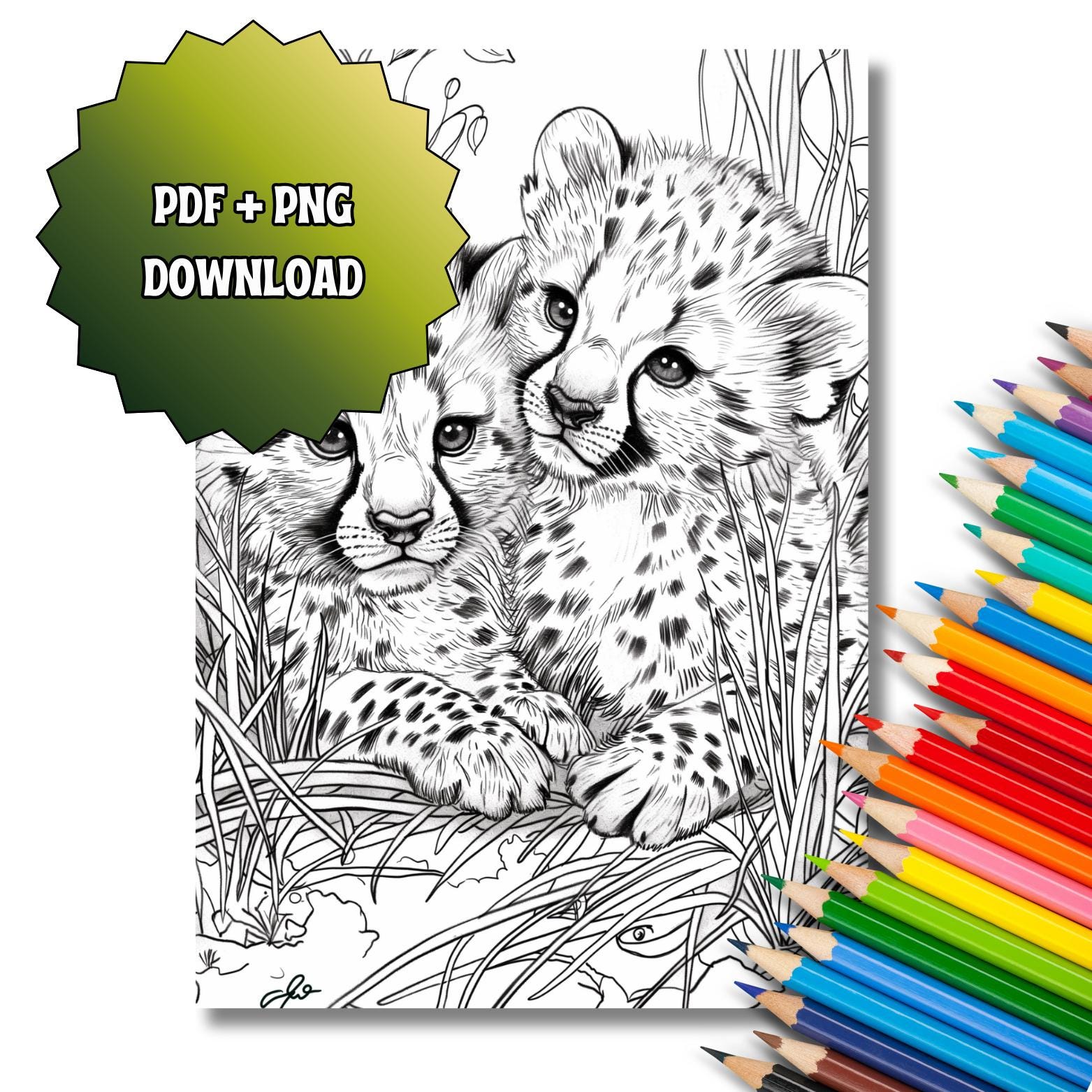 Wild Worlds – Safari Coloring Book for Adults | Realistic Wildlife ...