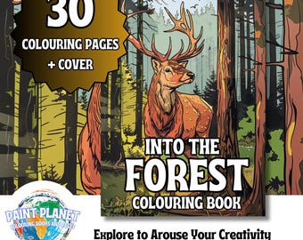 Into the Forest: Wald Malbuch zum entspannen für Kinder und Erwachsene von Paint Planet