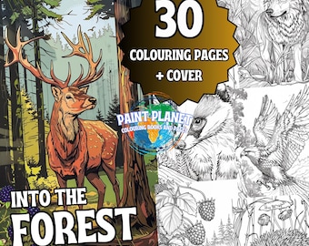 Into the Forest: Wald Malbuch zum entspannen für Kinder und Erwachsene von Paint Planet