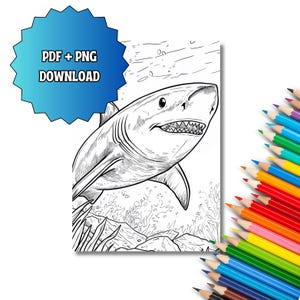 K&ouml;nnte beinhalten: Eine schwarz-wei&szlig;e Malvorlage mit einem Hai, der &uuml;ber einem felsigen Meeresboden mit Seetang schwimmt. Ein blaues sternf&ouml;rmiges Abzeichen in der oberen linken Ecke enth&auml;lt den Text PDF + PNG DOWNLOAD. Ein F&auml;cher aus Buntstiften liegt rechts daneben.