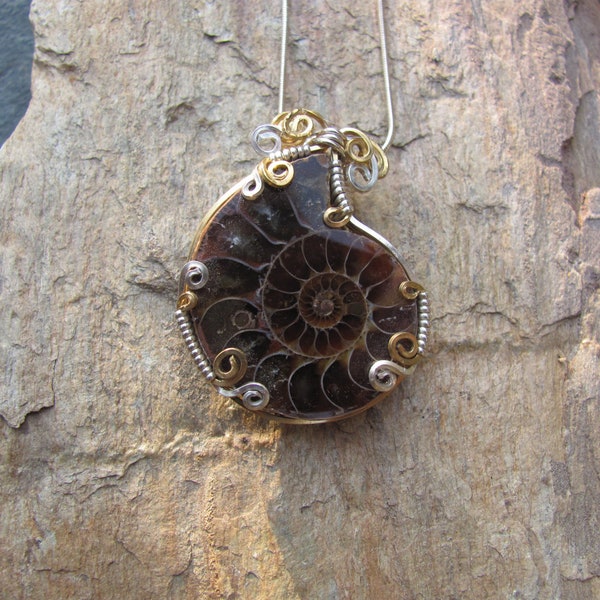 Ancient Heart  Ammonite Fossil  Pendant