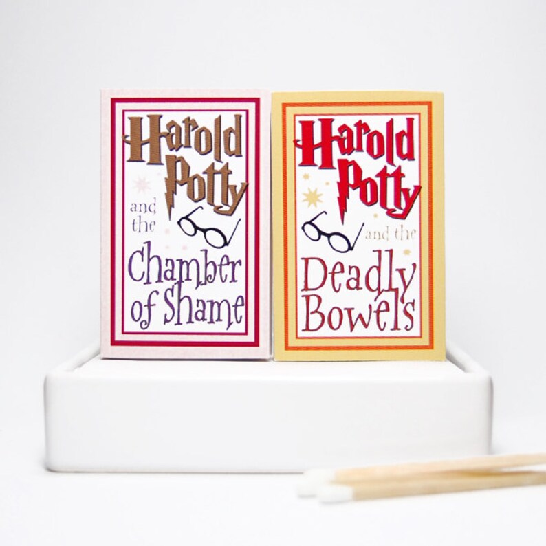 Stocking stuffer gag gift parody matchboxes Harold Potty Lites. Literary lovers secret santa. image 2