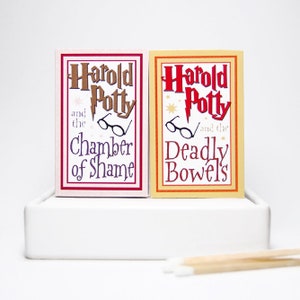 Stocking stuffer gag gift matchbox Literary Lites When the air thickens, so should the plot. Tiny mini matchbooks. Dippylulu classics. image 8