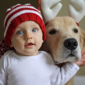 May include: A baby wearing a red and white striped knit hat with a golden retriever dog wearing a reindeer antler headband. The baby is looking at the camera and the dog is looking at the baby.