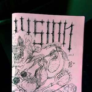 Puede incluir: Un folleto rosa con el título "WISTOM" en letras góticas negras. La portada presenta una ilustración en blanco y negro de flores y hojas. El texto "Vol. 2 18+" está impreso en negro en la esquina inferior derecha. El texto "JULIA GFRÖRER" está impreso en negro en la esquina inferior izquierda.