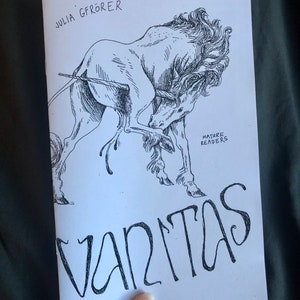 Vanitas minicomic zine