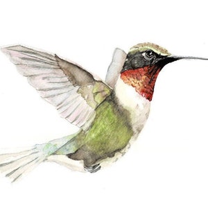 May include: Watercolor painting of a hummingbird in flight. The bird is green, white, and red with a long, thin beak. The painting is signed "L. Jones 2021" in the bottom right corner.