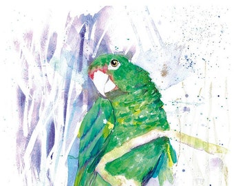 Amazona Vittata, Puerto Rican Parrot - FINE ART PRINT from original Watercolor