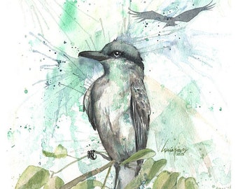 Pitirre, Grey Kingbird- FINE ART PRINT from original Watercolor