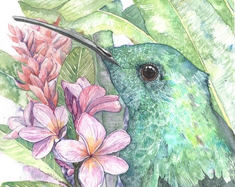 Hummingbird and botanical watercolor- Green Mango - FINE ART PRINT from original Watercolor