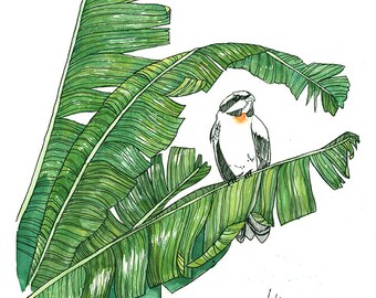 Reina Mora, Puerto Rican Spindalis, on a banana palm- FINE ART PRINT from original Watercolor and ink illustration.