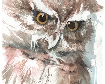 Mucarito, Puerto Rican Screech owl- FINE ART PRINT from original Watercolor
