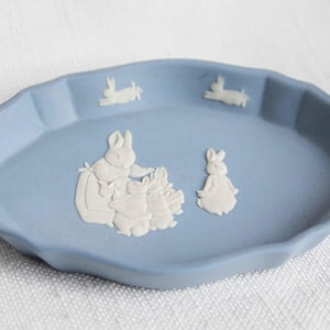 Puede incluir: Un plato de cerámica azul claro con borde festoneado. El plato presenta diseños en relieve blancos de conejos, incluyendo una madre coneja con sus crías y varios conejos corriendo por el borde. Una encantadora pieza decorativa con temática de Pascua.