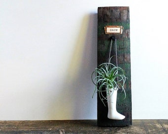 Air Plant Display Hanger Made With A Vintage Cider Barrel Stave