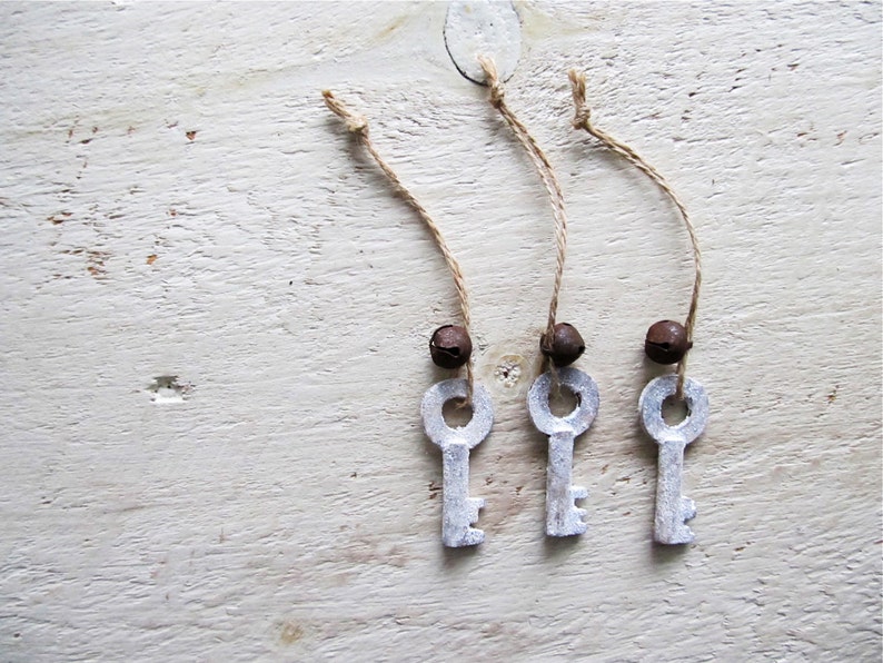 Frosted Painted Skeleton Key Ornaments With Rusty Bells Set Etsy