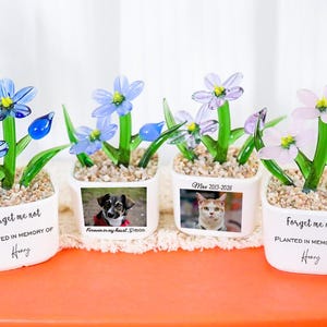 May include: Four white square ceramic planters filled with small stones and glass flowers in blue, purple, and pink. Two planters feature the text "Forget me not PLANTED IN MEMORY OF Honey," while the others display pet photos and text including "Max 2013-2026" and "Forever in my heart, Simon."