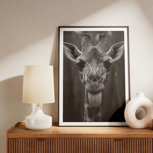 May include: Black and white photograph of a giraffe's head and neck. The giraffe is looking directly at the camera with its tongue sticking out. The photograph is framed and hanging on a wall above a wooden cabinet.