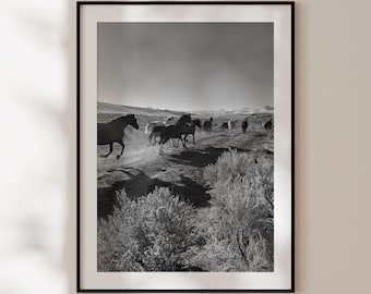Galloping Horses Poster, Black and White Horses Print, American Horses Photography, Gift for Horse Lovers, Horse Decor