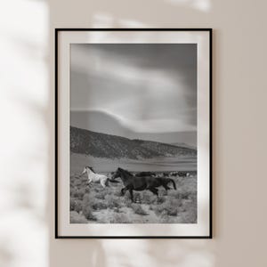Poster di cavalli americani, stampa di cavalli in bianco e nero, fotografia di cavalli americani, regalo per amanti dei cavalli, decorazione per cavalli