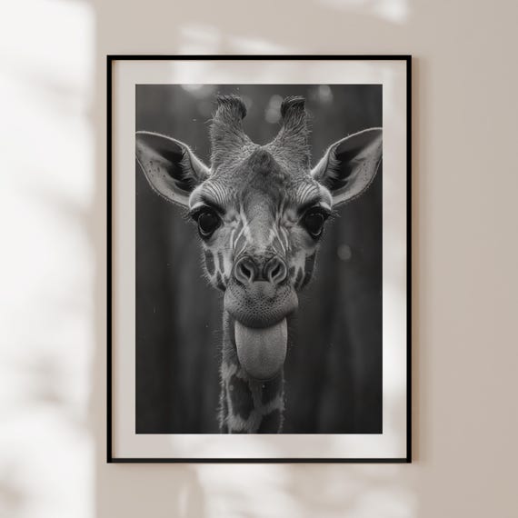 Affiche Girafe qui tire la langue, Impression girafe noir et blanc, Art mural authentique pop art, Pop culture, Photographie originale drôle