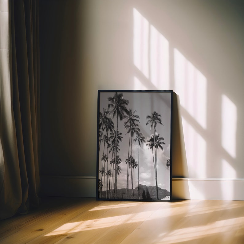 May include: Black and white photograph of palm trees in a framed print. The print is hanging on a white wall.