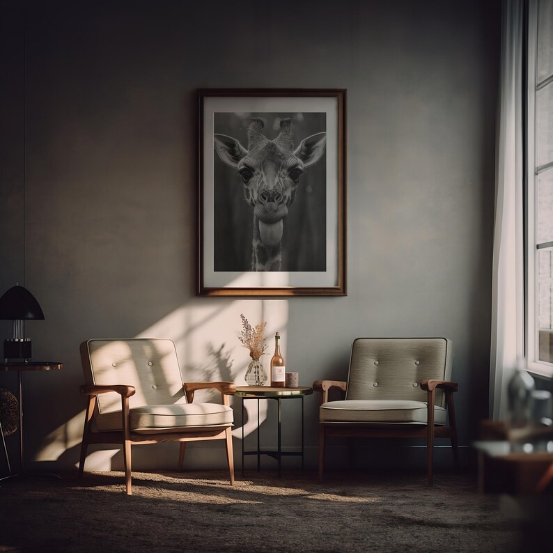 May include: A black and white photograph of a giraffe's head with its tongue sticking out. The photo is framed in a brown wooden frame and hanging on a gray wall. Two chairs and a small table are in the foreground.
