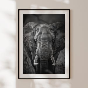 Poster di elefanti, stampa di elefanti in bianco e nero, arte murale di animali della giungla, fotografia di elefanti, arredamento esotico per la casa