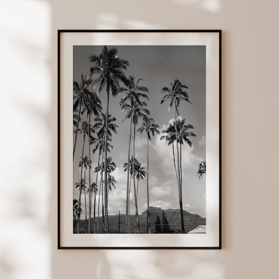 Affiche palmiers rétro, impression vintage noir et blanc, art mural palmiers, photographie palmiers originale, décoration tropicale vintage