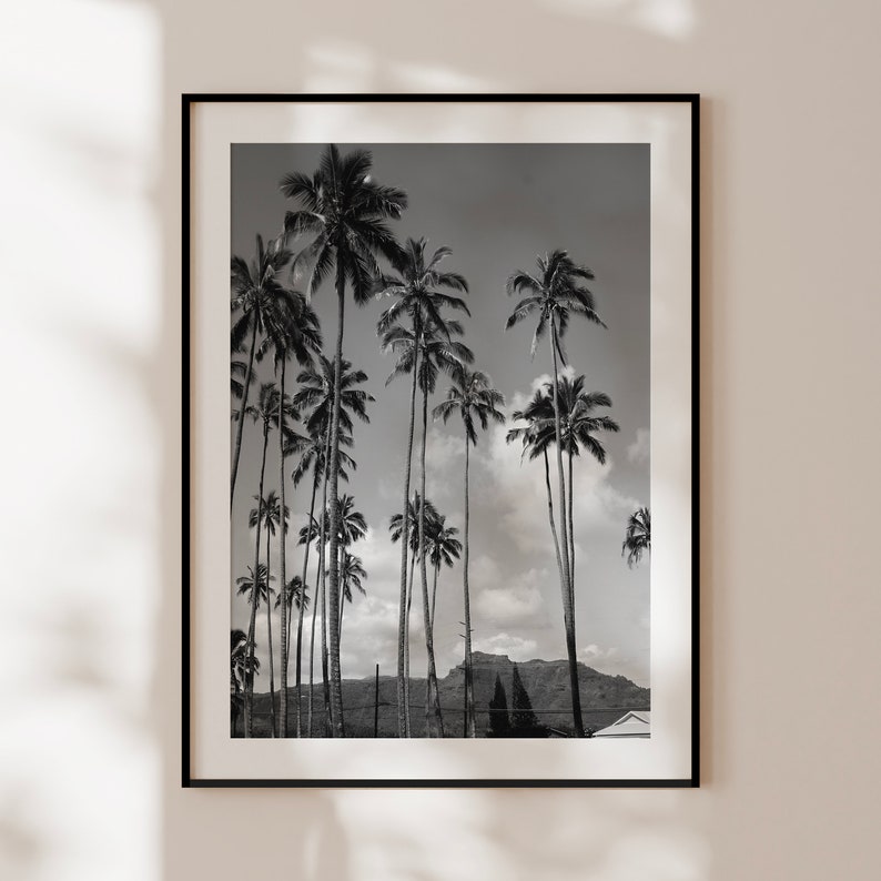 May include: Black and white photograph of a row of palm trees against a cloudy sky. The trees are silhouetted against the sky, and the image has a vintage feel.