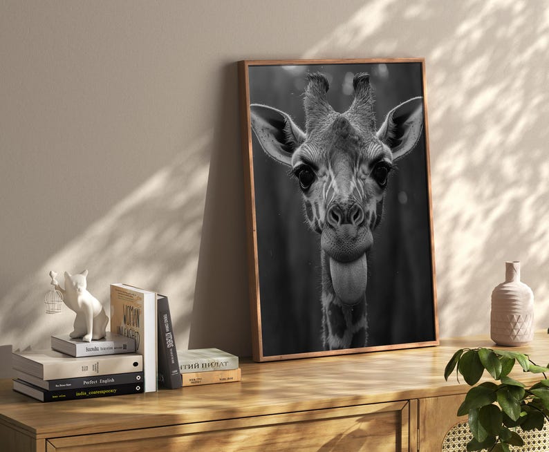 May include: Black and white photograph of a giraffe's head and neck. The giraffe is looking directly at the camera with its tongue sticking out. The background is blurred and out of focus.