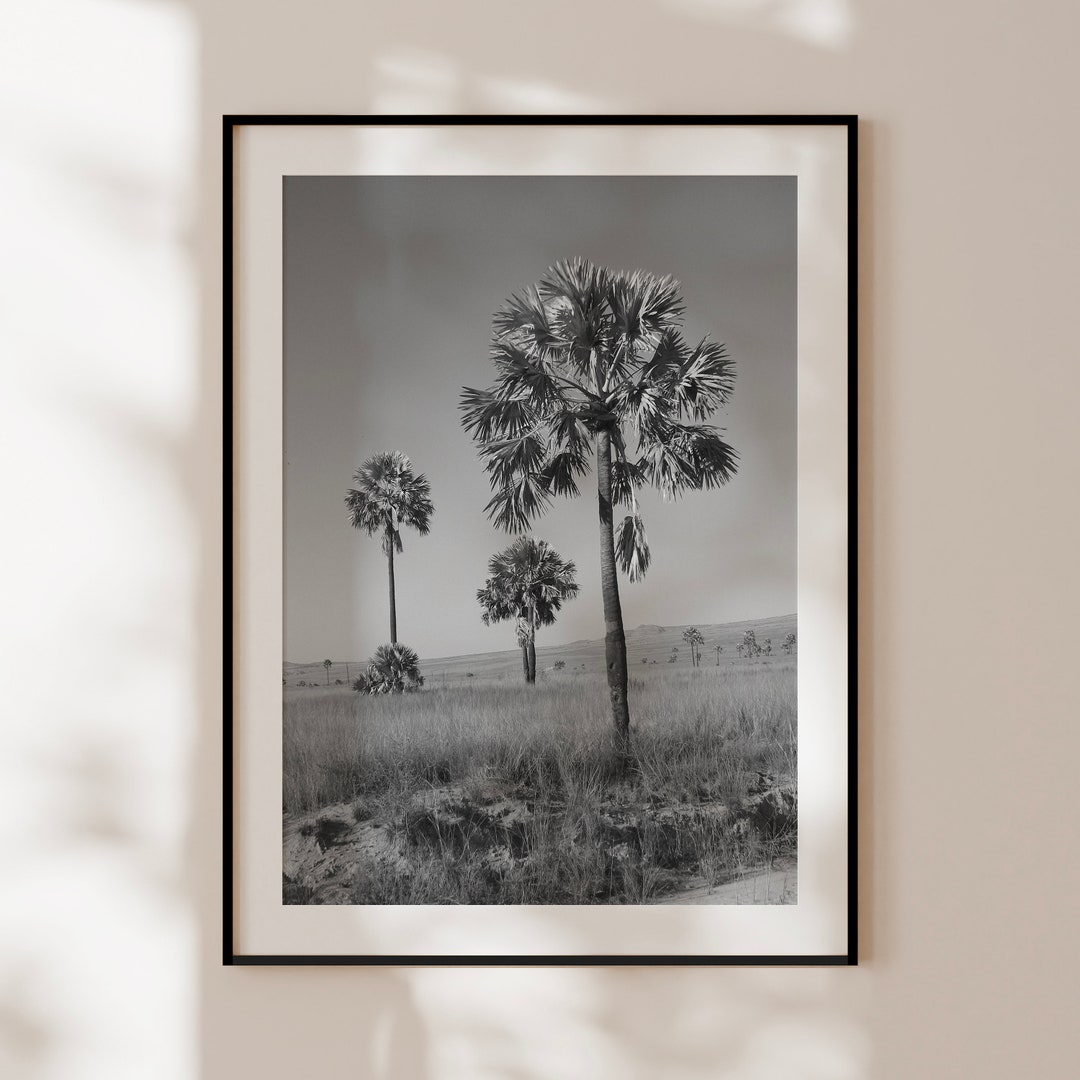 Retro Palm Tree Poster, Vintage Black and White Print, Palm Tree Wall ...