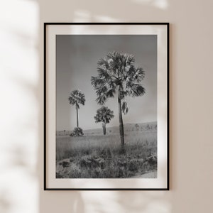 Poster retrò con palme, stampa vintage in bianco e nero, arte murale con palme, fotografia originale di palme, arredamento tropicale vintage