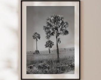 Retro palm tree poster, vintage black and white print, palm tree wall art, original palm tree photography, vintage tropical decor