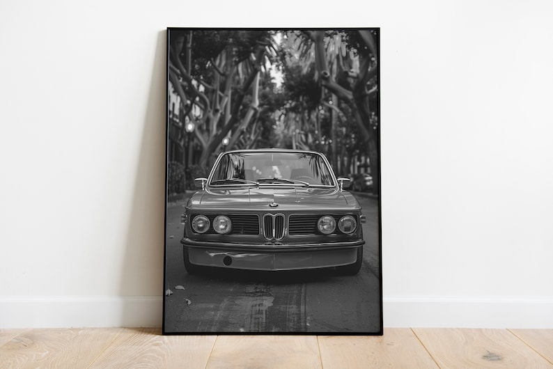 Puede incluir: Una fotograf&iacute;a en blanco y negro de un coche BMW cl&aacute;sico conduciendo por una calle bordeada de &aacute;rboles.
