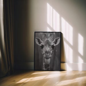 May include: Black and white photograph of a giraffe's head and neck. The giraffe is looking directly at the camera and has its tongue sticking out.