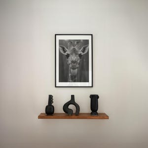 May include: A black and white photograph of a giraffe's head in a black frame hangs above a wooden shelf with three black ceramic vases.