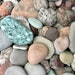 see more listings in the River Rocks section